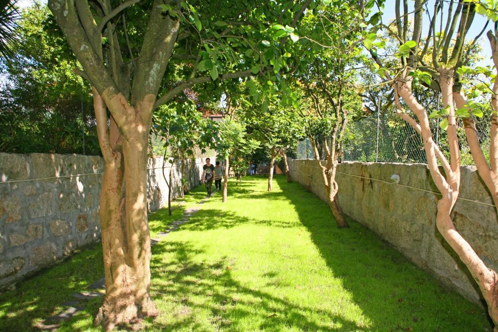 Alma Porto Hostel Zewnętrze zdjęcie